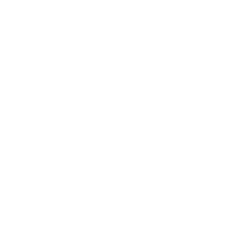 shine-1.png